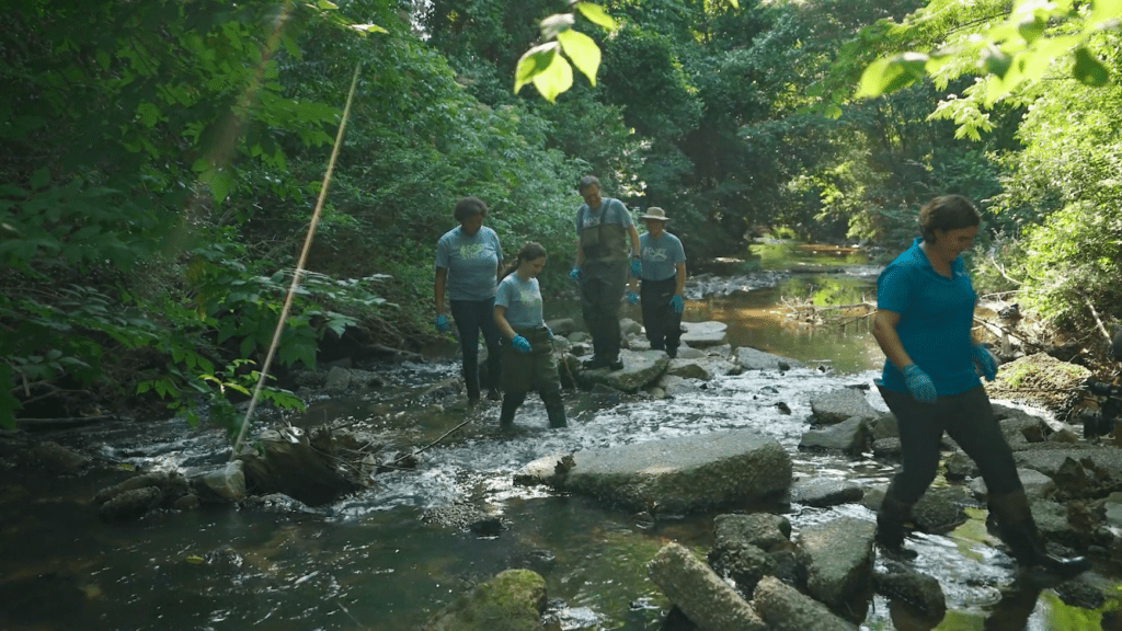 SCDES employee sampling water during an Adopt-A-Stream test, part of a South Carolina government video produced by Lunch and Recess.